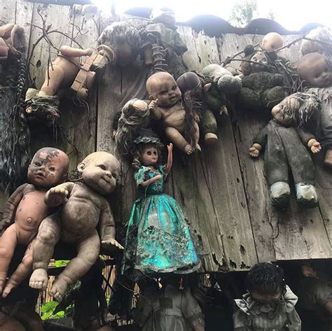 Mexicos Creepy Island Of Dolls Daily Record