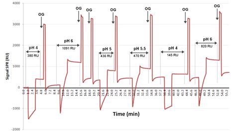 Multimodal Analytical Platform On A Multiplexed Surface Plasmon Resonance Imaging Chip For The