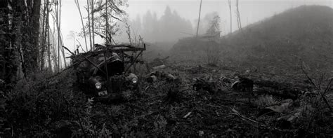 Hintergrundbilder Landschaft Wald Einfarbig Ruine Krieg Nebel