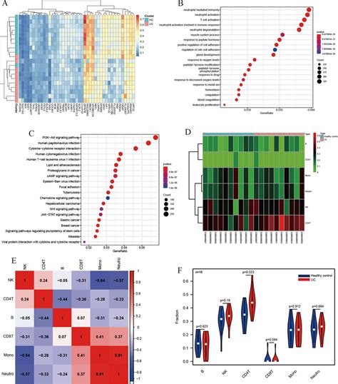 DNA methylation, enrichment analysis, and correlation analysis reveal ...