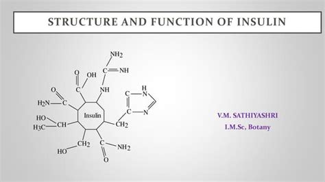 STRUCTURE AND FUNCTION OF INSULIN.pptx