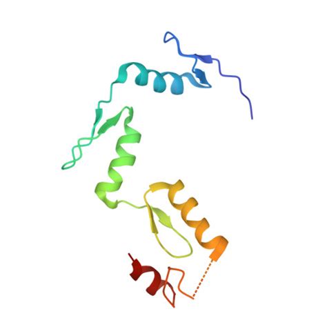 Gene P19544 Protein WT1 Overview CanSAR Ai