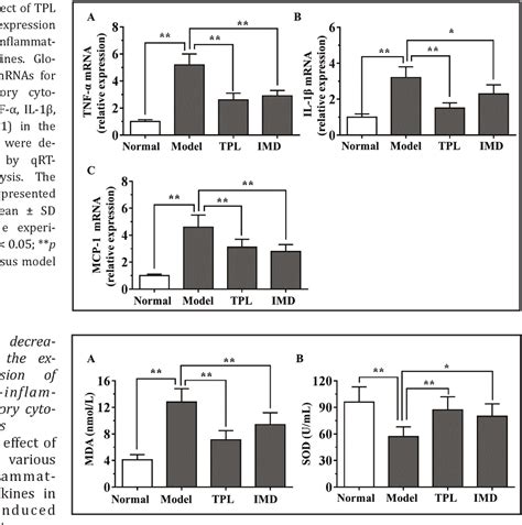 Figure From Triptolide Attenuates Inflammatory Response In Membranous