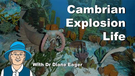 Cambrian Explosion Life Youtube