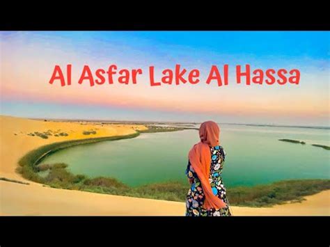 Al Asfar Lake Al Hassa Largest oasis in Saudi Yellow lake بحيرة