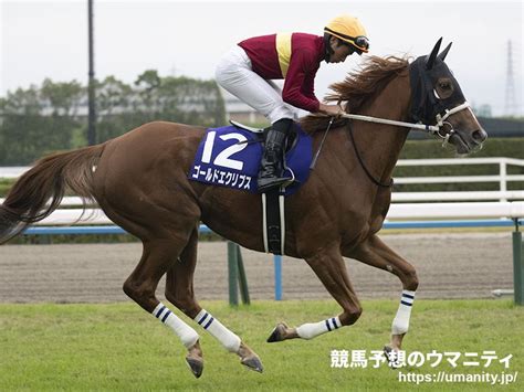 【有名人の予想に乗ろう！】小倉大賞典2024 冬の小倉名物ハンデ重賞！混戦を断つのは！？｜競馬ニュース｜競馬予想のウマニティ