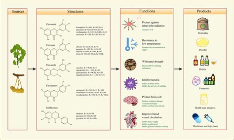 The Structures Functions And Products Of The Flavonoids In G Biloba