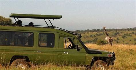 From Kigali Day Akagera National Park Safari Getyourguide