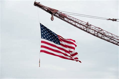 Crane Flag Stock Photos Pictures And Royalty Free Images Istock