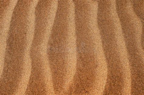 Golden Sand Texture And Background Stock Photo Image Of Dune Climate