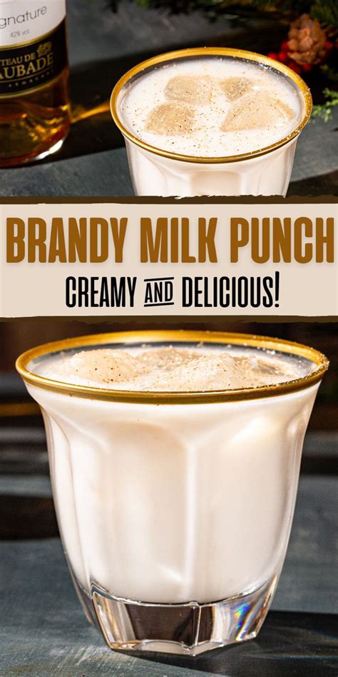 Brandy Milk Punch | Brandy Cocktail with cream | Classic drink with ...