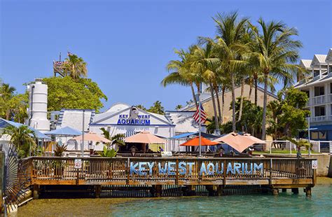 29 Best & Fun Things To Do In Key West (Florida) - Attractions & Activities