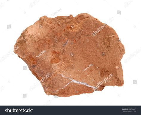 Natural Specimen Siltstone Rock Clastic Sedimentary Stock Photo
