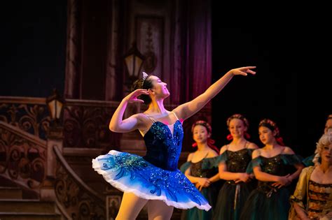 Bluebird And Princess Florine Emerald Ballet Theatre