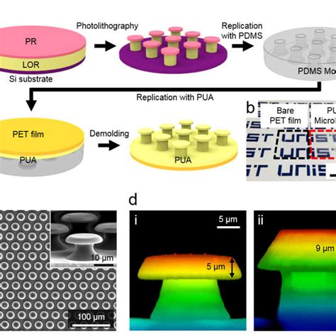 A Schematic Procedure Of The Fabrication Of The 3d Microstructure