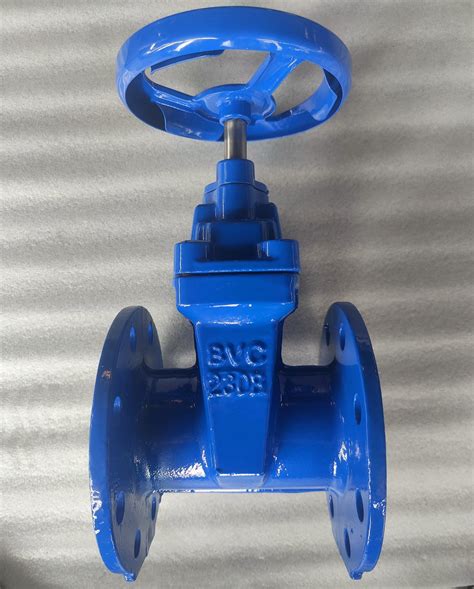 Din3352 F4f5 Soft Resilient Seated Ggg50 Gate Valve Dn80 Pn16 Non