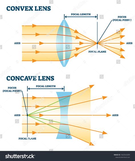 Convex Lens Definitions Types Functions And Difference Between Atelier Yuwa Ciao Jp