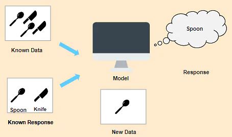 Pahami Perbedaan Tipe Machine Learning Terupdate