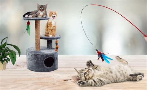 Autoau Cat Toys For Indoor Cats Adult Kitten Interactive Cat Toy Training With 5 Feather