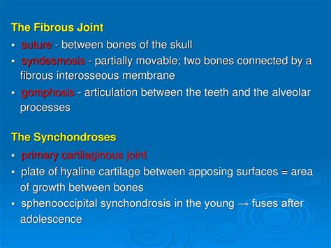 Articulations Of The Spine And Thorax Ppt Download