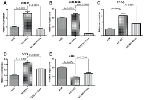 Exosomal Long Non Coding Rna Mstrg Is Associated With