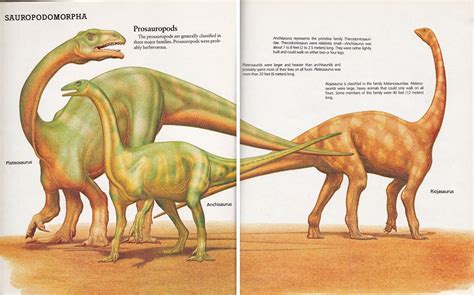 Vintage Dinosaur Art Dinosaurs And Other Archosaurs Part Love In