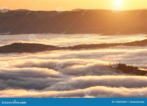 Fenomeno Del Tempo Di Estate Paesaggio Stagionale Con La Nebbia Di