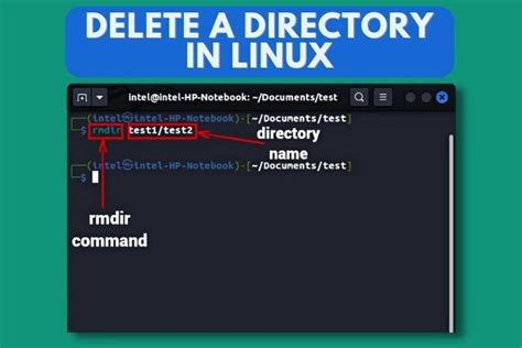 How To Delete A Directory In Linux In 2024 4 Methods Beebom