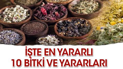 En şifalı 10 bitki ve yararları