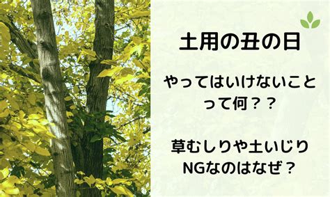 草刈りをしてはいけない日は土用の丑の日？土いじりや草むしりがダメな日と理由は？ ぎゅぎゅぎゅっとお役立ち情報