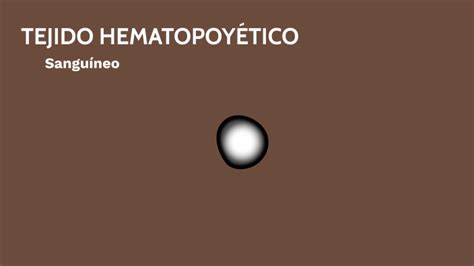 Tejido Hematopoy Tico By I T On Prezi