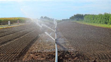 Agricoltura nellUe quanto è sostenibile luso dellacqua