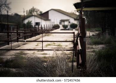 portugal farm house images stock  vectors shutterstock