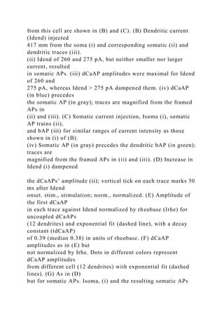 Neurosciencedendritic Action Potentials And Computation In Docx