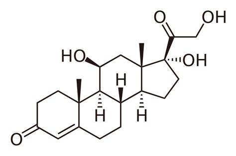 ¿qué Es El Cortisol Y Por Qué Es Bueno Medirlo Clínica Andes Salud