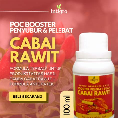 Jual Pupuk Cabe Berbuah Lebat Pupuk Cabe Booster Pupuk Cabe Rawit