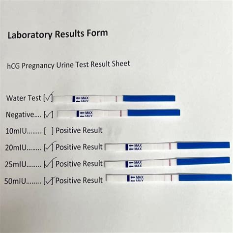 Positive Pregnancy Test Results Document