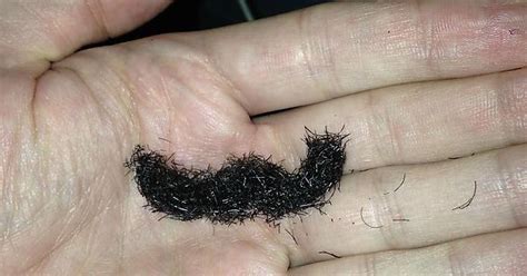 I Trimmed My Mustache And It Came Out Of The Trimmer Looking Like A Mustache Imgur