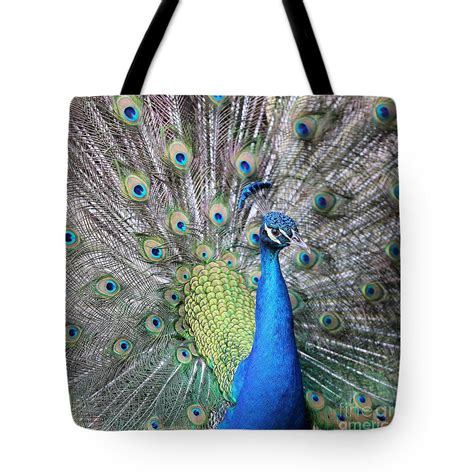 Peacock Square Tote Bag For Sale By Carol Groenen Pretty Tote Bags