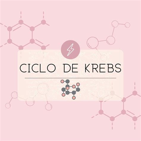 Ciclo De Krebs Sosnutris Udocz