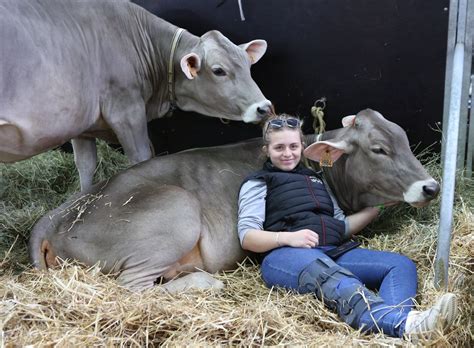 Vaches en piste à Rochexpo Quel est le prix d une vache