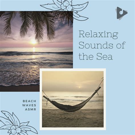 Relaxing Sounds Of The Sea Playlist Lullify