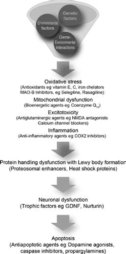 Parkinsons Disease Neupsy Key