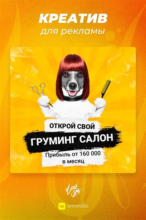 Креатив для рекламы груминг-франшизы | Design, Photo, Movie posters