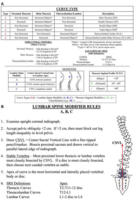 Lenke Classification Of Ais Spine Orthobullets