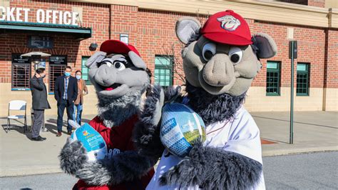 IronPigs Mascot Appearances | IronPigs