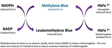 emDOCs.net – Emergency Medicine EducationToxCard: Methylene Blue - emDOCs.net - Emergency ...