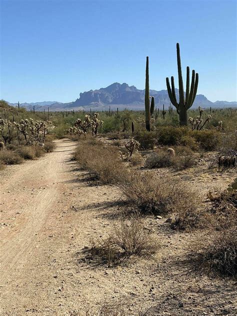 Best Kid Friendly Trails near Mesa, Arizona | AllTrails