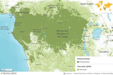 Cop27 Long On Pledges Short On Funds For Forests — Congo Basin At Risk