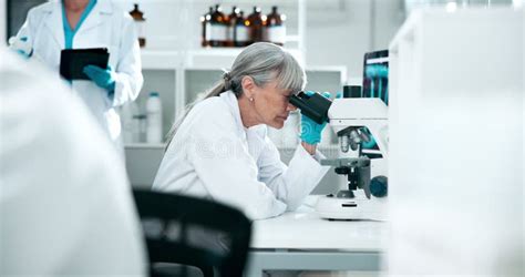 Microscope Science And Test With Woman In Laboratory For Breakthrough